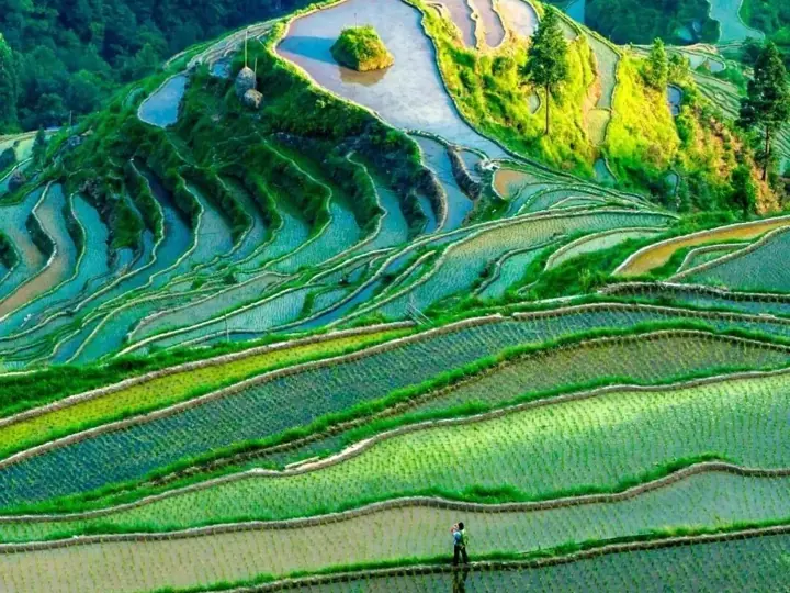 Guilin & Yangshuo: Longji · end