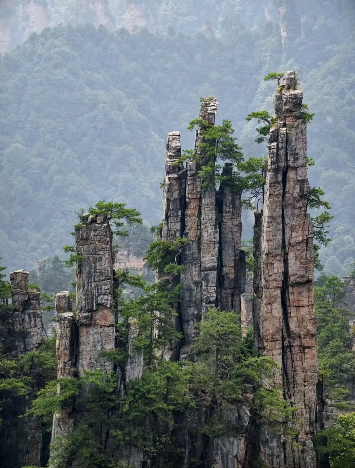 Sandstone pillars in Wulingyuan